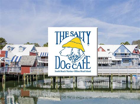 hilton head island salty dog cafe|salty dog receipts hilton head.